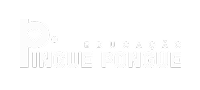 site logo ping pong